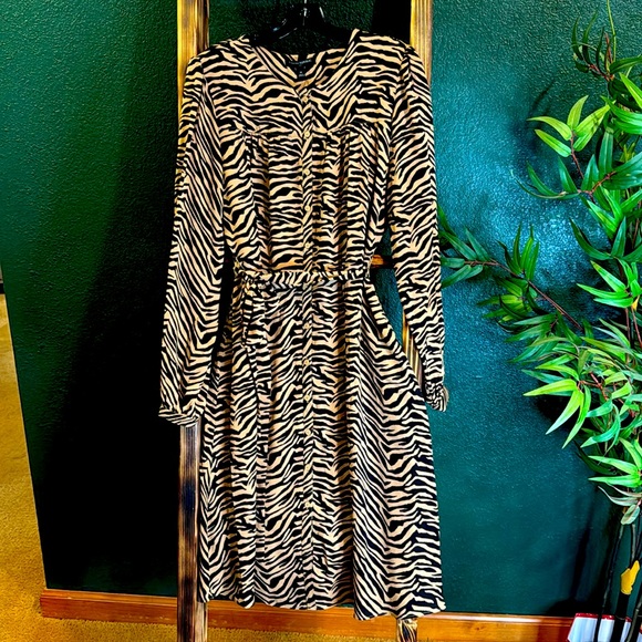 Banana Republic Dresses & Skirts - Zebra print tie/button dress